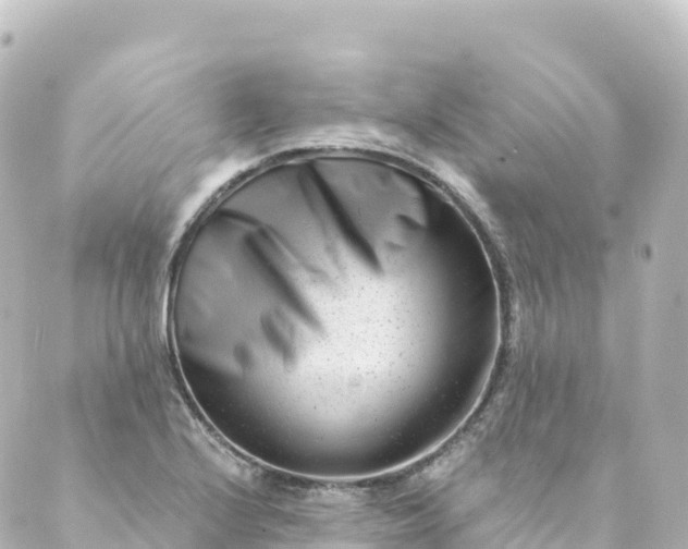 X0000088891224200706221832