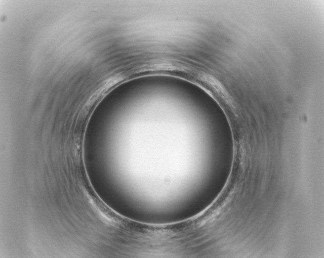 X0000088891225200706221832