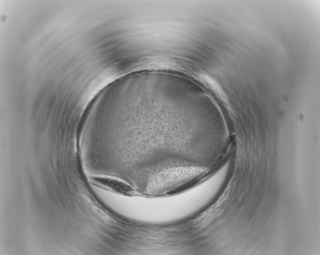 X0000088891226200706221832