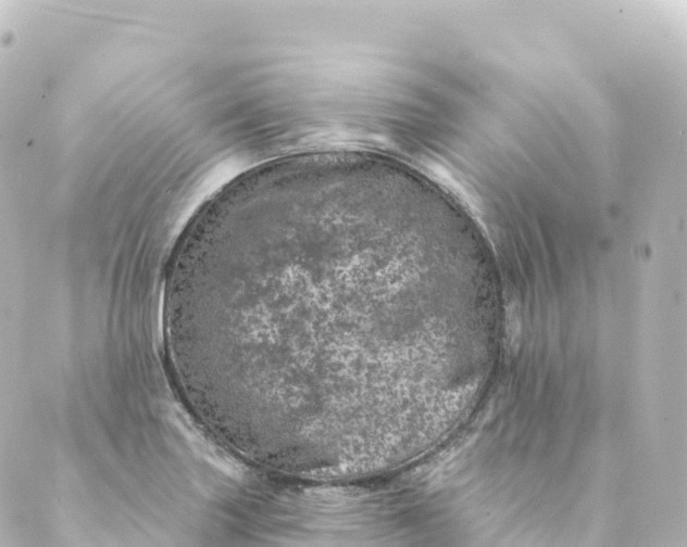 X0000088891227200706221832