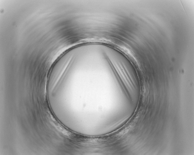 X0000088891228200706221832