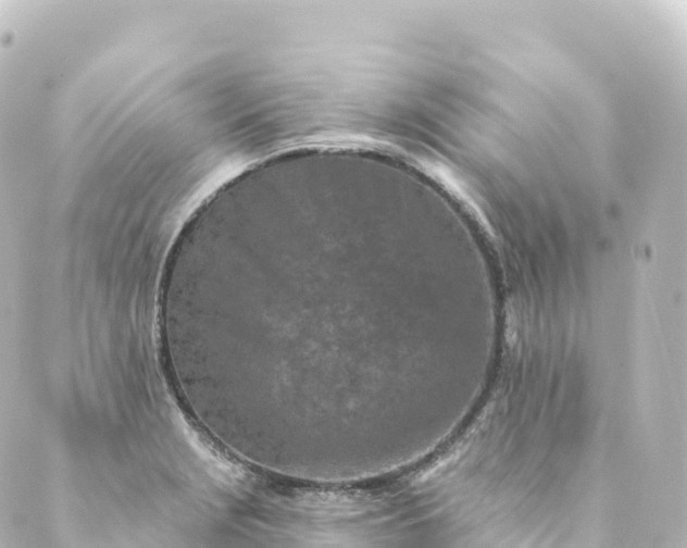 X0000088891229200706221832