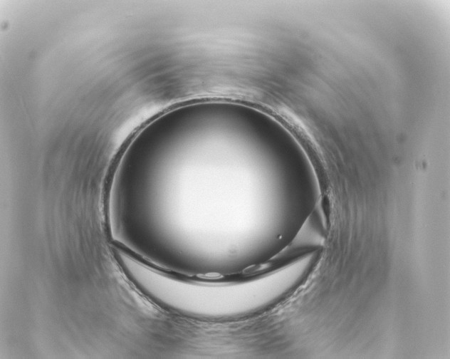 X0000088891230200706221832