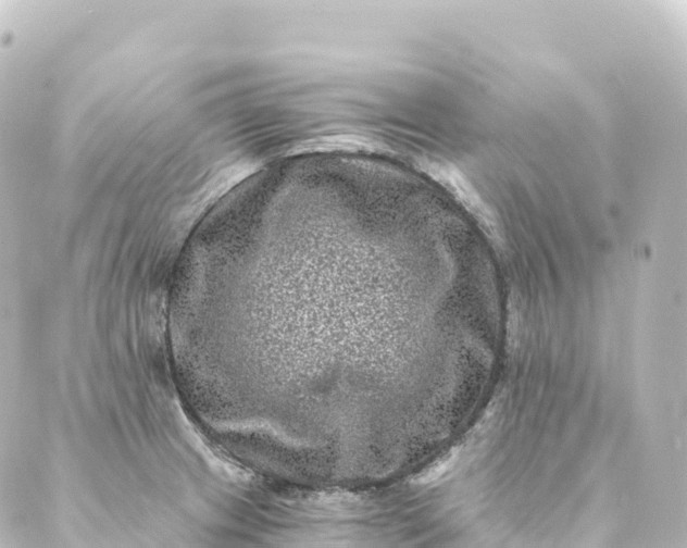 X0000088891233200706221832