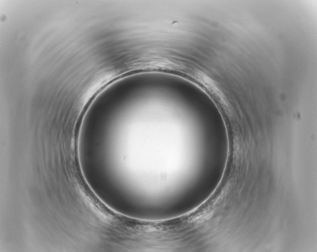 X0000088891234200706221832