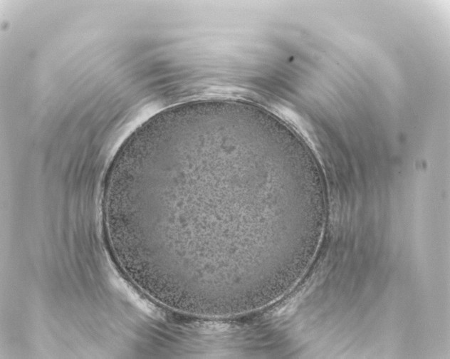 X0000088891235200706221832