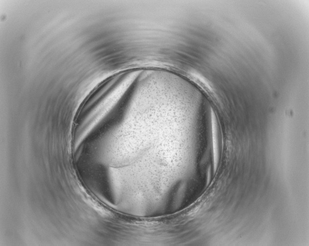 X0000088891236200706221832