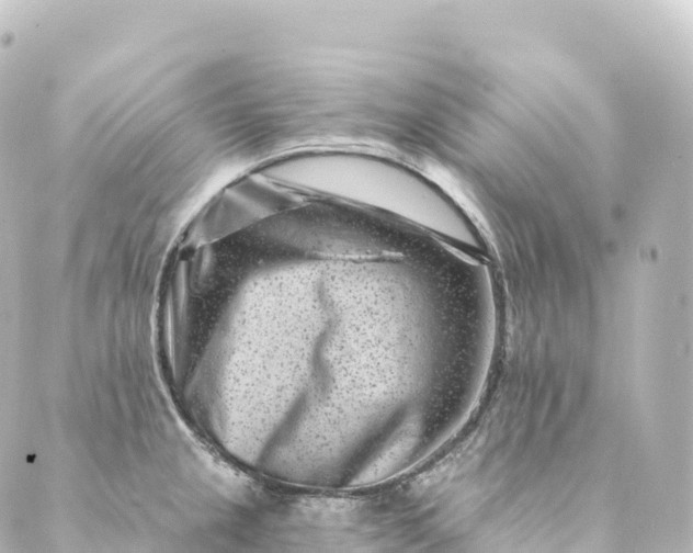 X0000088891237200706221832