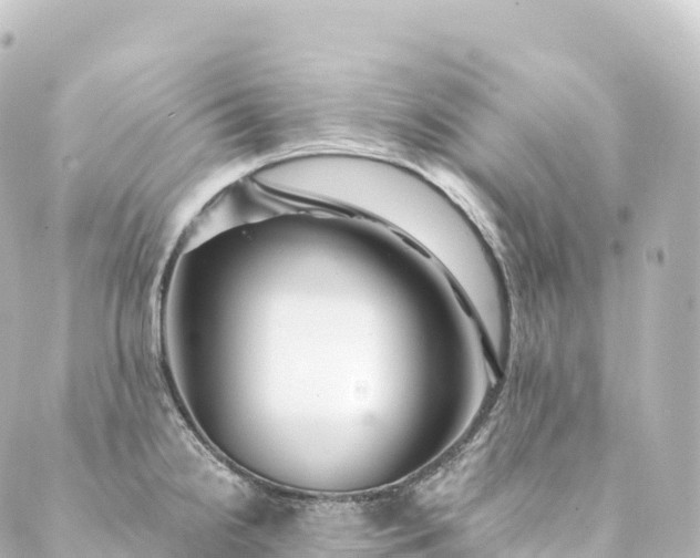 X0000088891238200706221832