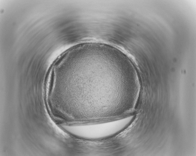 X0000088891239200706221832