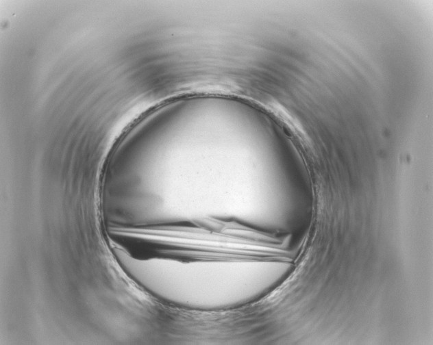 X0000088891240200706221832