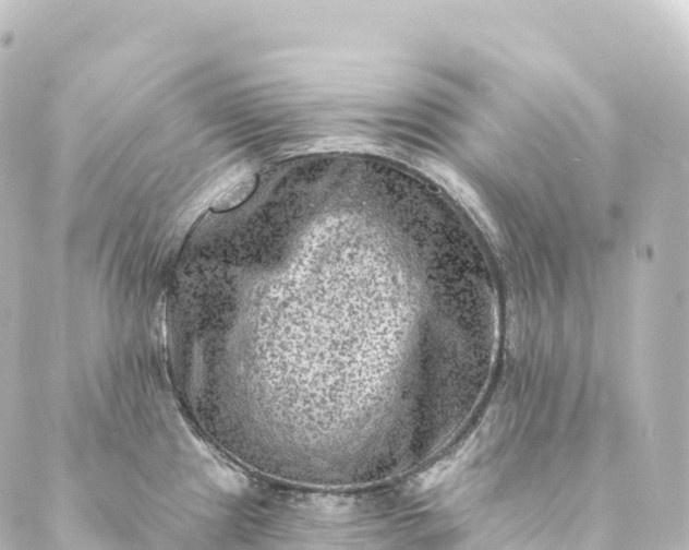 X0000088891241200706221832