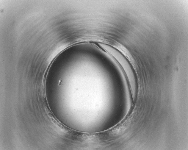 X0000088891242200706221832