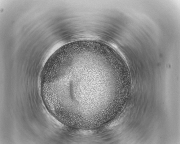 X0000088891243200706221832