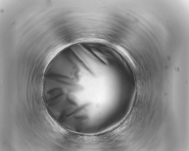 X0000088891244200706221832