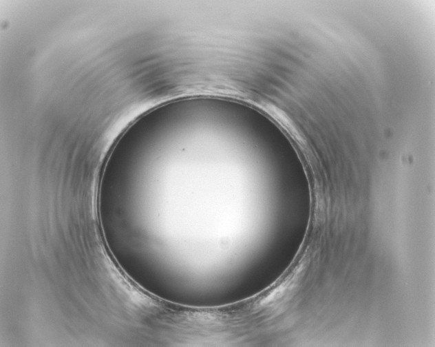 X0000088891246200706221832