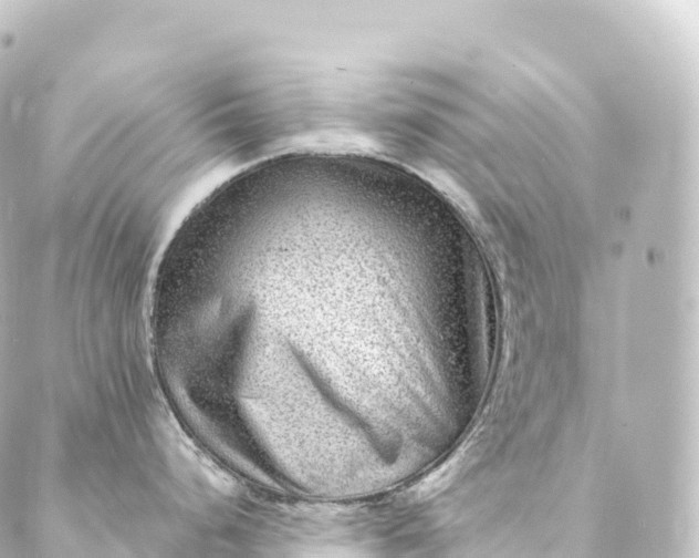 X0000088891248200706221832