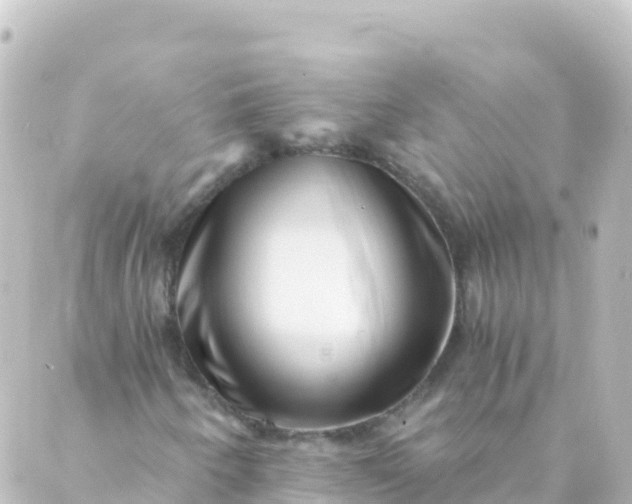 X0000088891250200706221831