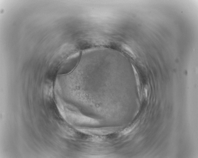 X0000088891251200706221831