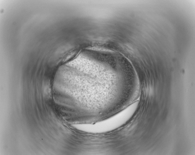 X0000088891252200706221831