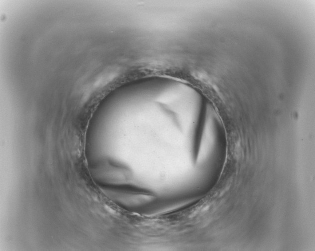 X0000088891253200706221831