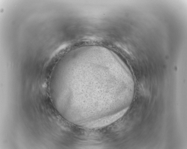 X0000088891254200706221831