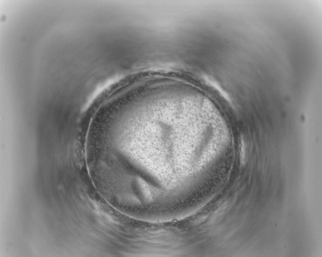 X0000088891256200706221831