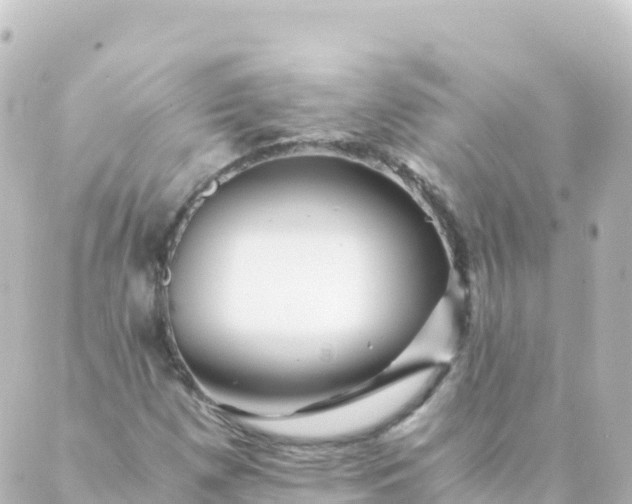 X0000088891257200706221831