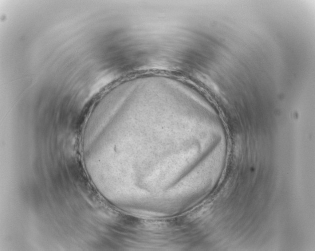 X0000088891258200706221831