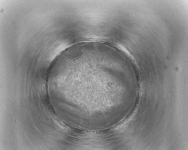 X0000088891259200706221831