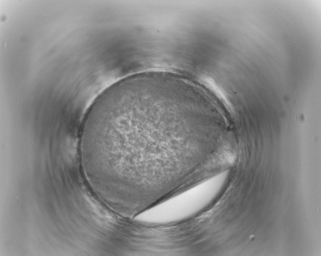 X0000088891260200706221831