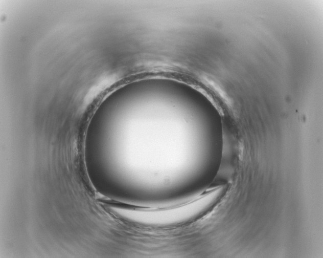 X0000088891261200706221831