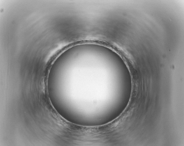 X0000088891262200706221831