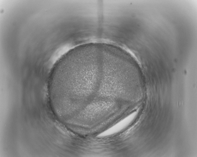 X0000088891263200706221831