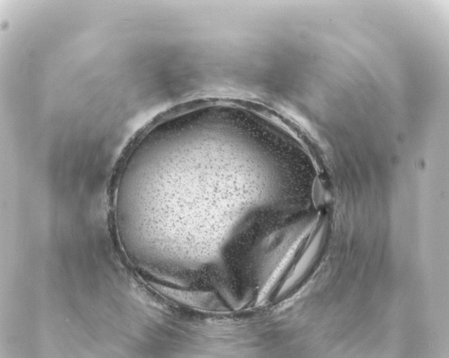 X0000088891264200706221831