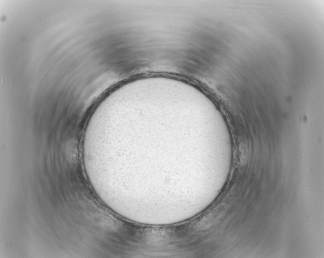 X0000088891266200706221831