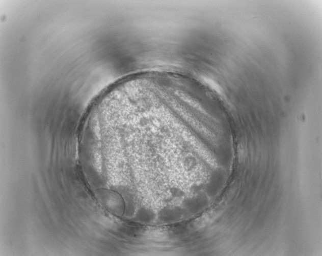 X0000088891267200706221831