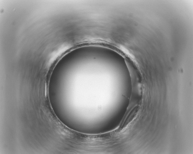 X0000088891269200706221831