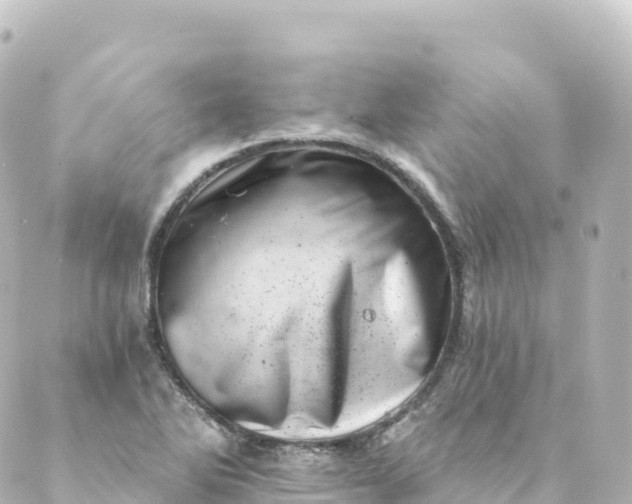 X0000088891270200706221831