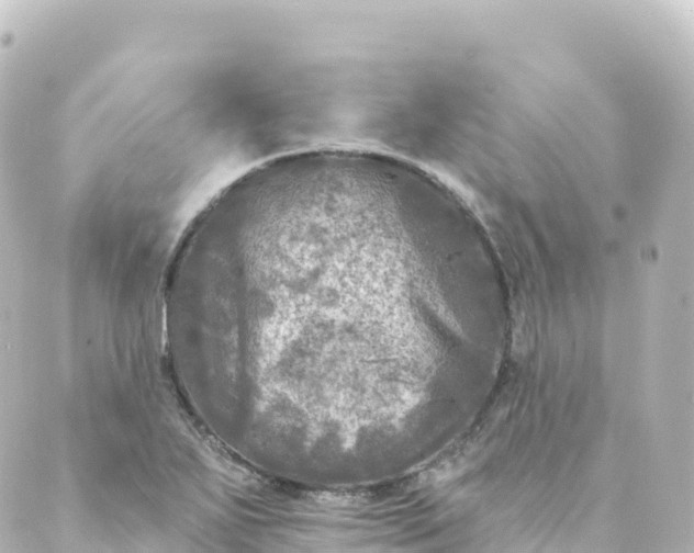 X0000088891271200706221831