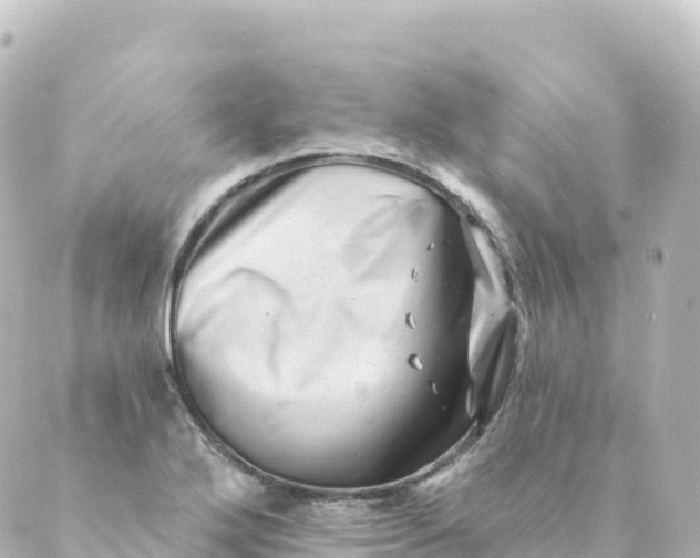 X0000088891272200706221831