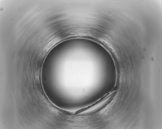 X0000088891273200706221831