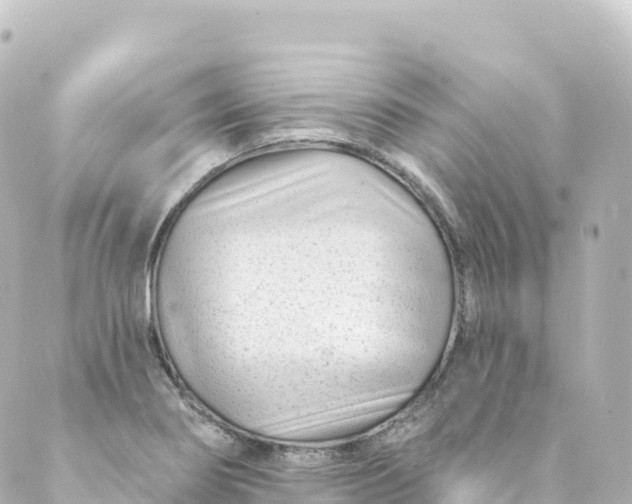 X0000088891274200706221831