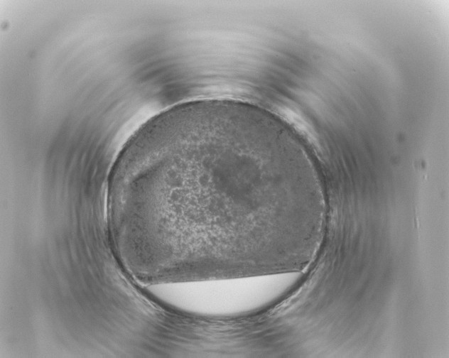 X0000088891275200706221831