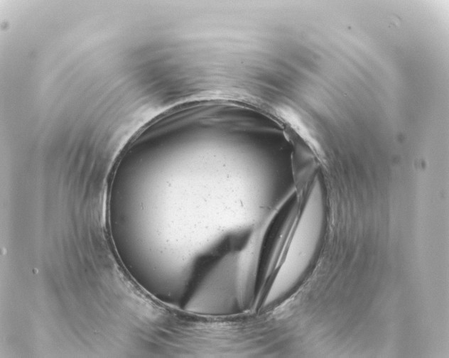 X0000088891276200706221831