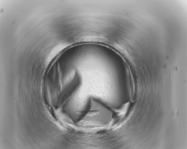 X0000088891277200706221831