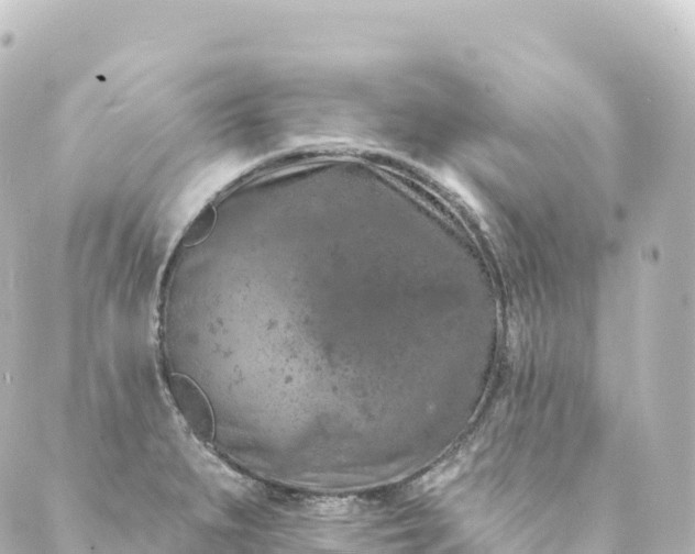 X0000088891279200706221831