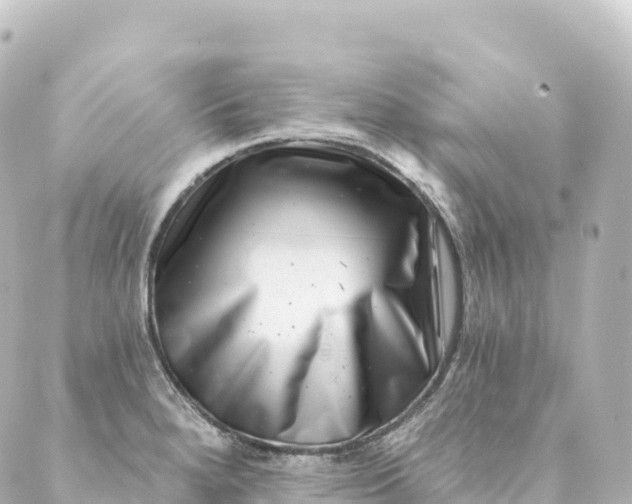 X0000088891280200706221831