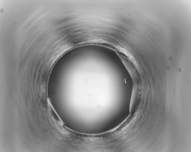 X0000088891281200706221831