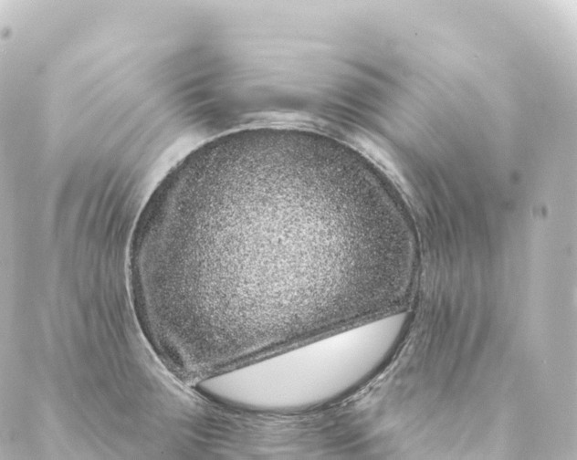 X0000088891283200706221831